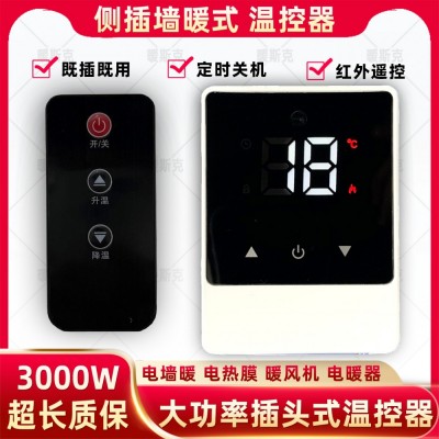 “側插式”